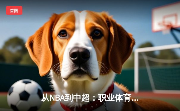 从NBA到中超：职业体育的商业化迷思与竞技本质回归